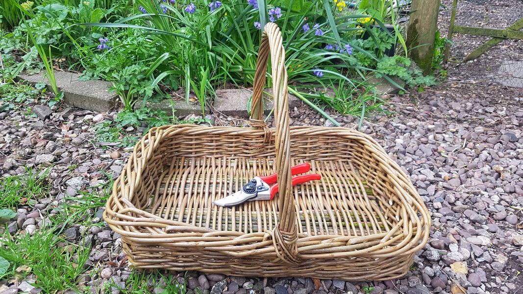 Rectangular Trug made using Catalan frame technique