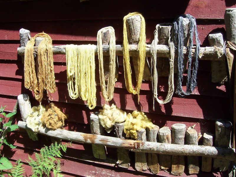 Natural dyeing using woodland plants