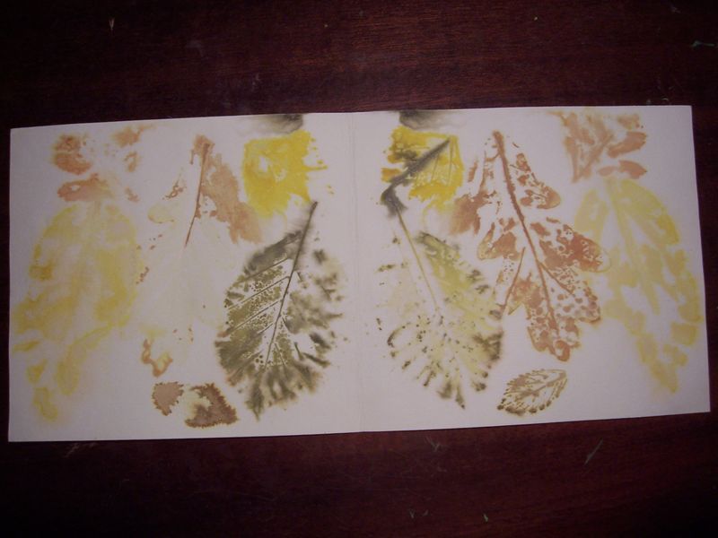 eco print on paper