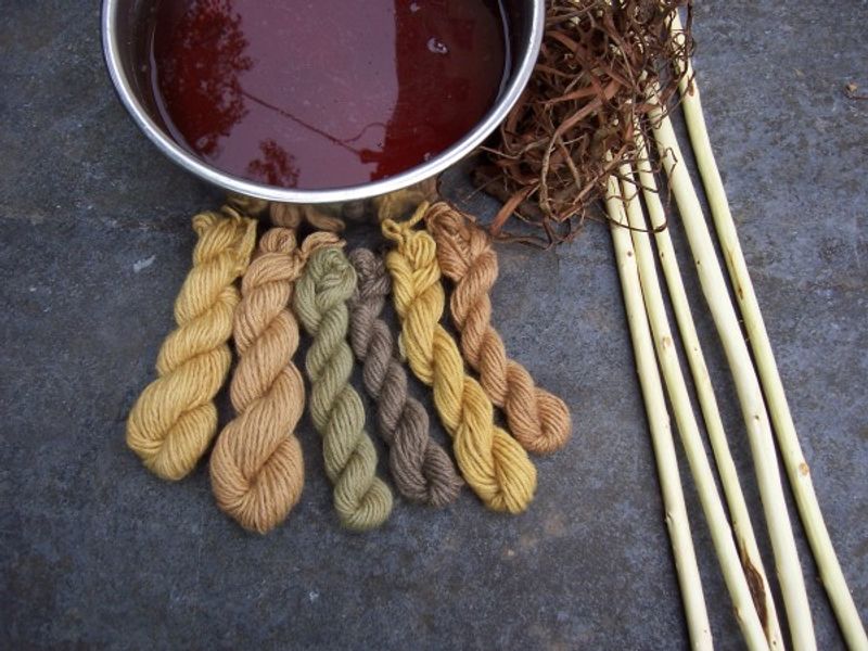 Natural dyeing with willow