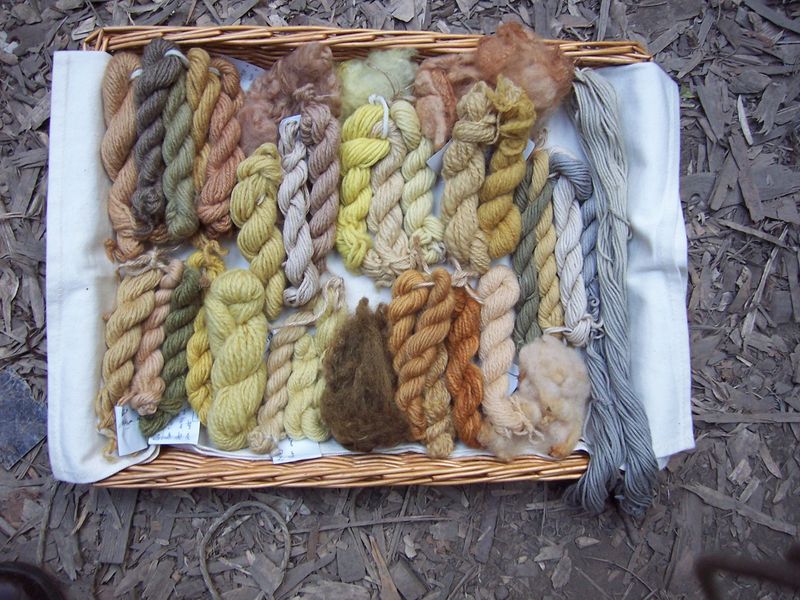 samples of various woodland dyes