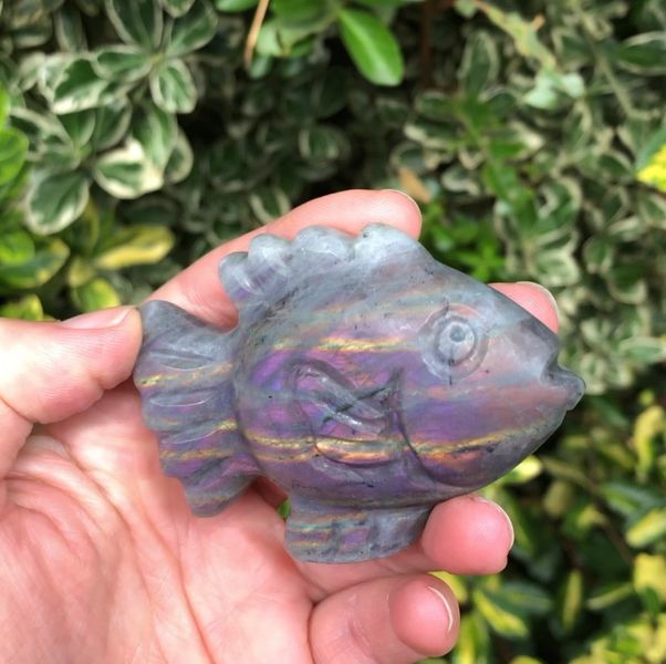 purple labradorite fish