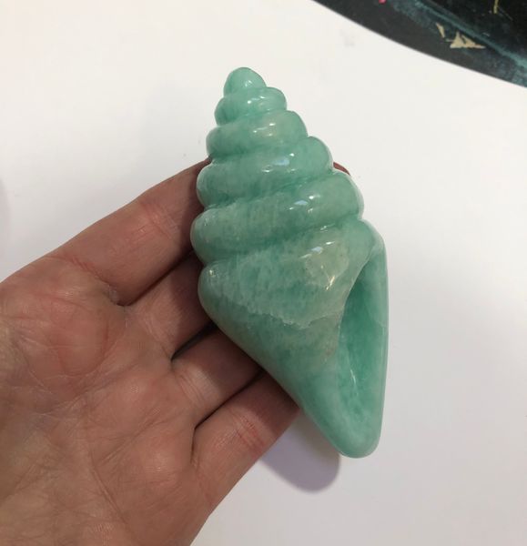 amazonite shell