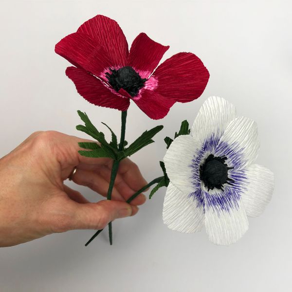Bergin & Bath Paper flower kit - Anemone. Hand holding a red and white paper anemone flowers.