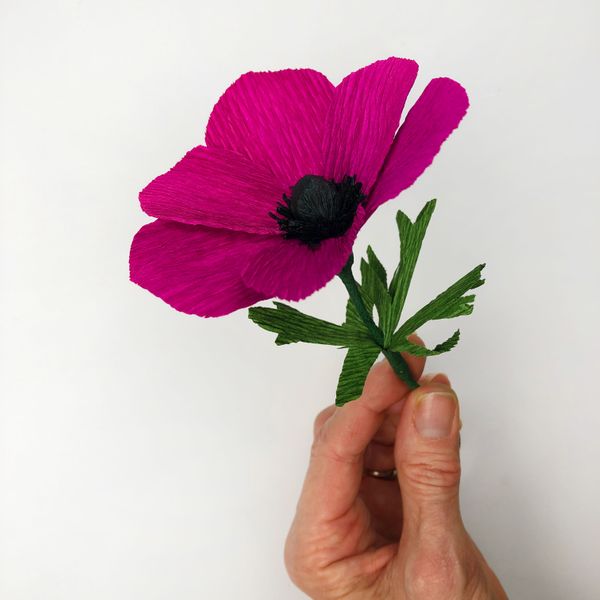 Bergin & Bath Paper flower kit - Anemone. Hand holding a pink paper anemone flower.