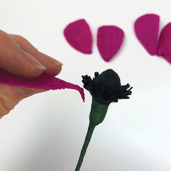 Bergin & Bath Paper flower kit - Anemone. Detail of making a paper anemone.