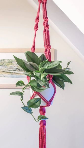 Macrame plant hanger example from Maple Tree Spaces