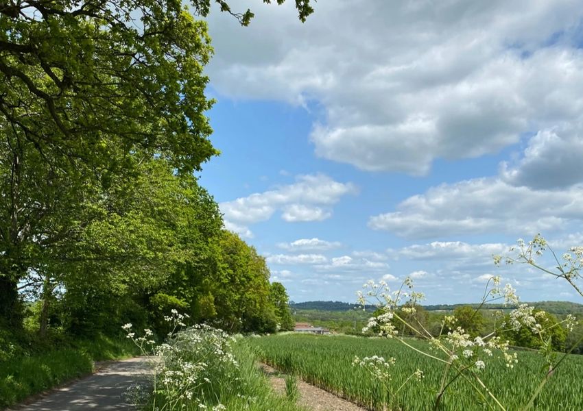 Lovely rural view down the lane to The Oast Studio 