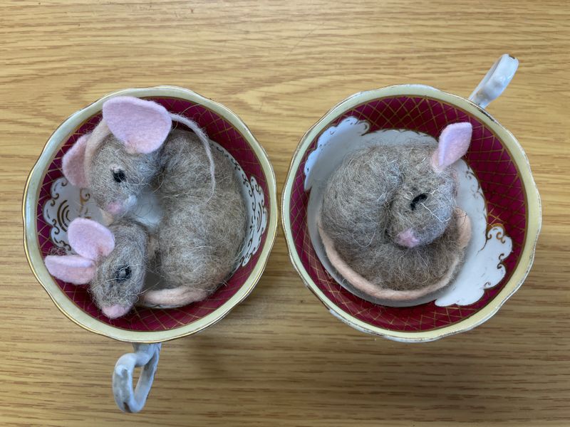 Sleeping mice in tea cups made by 13 year old students