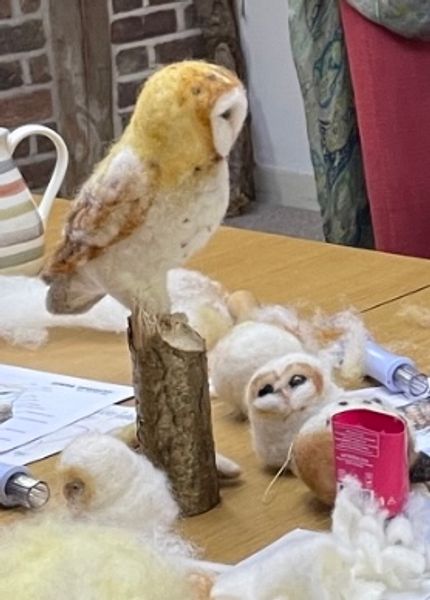 woolly owlet waiting for the owls to be completed during an Owl workshop! 