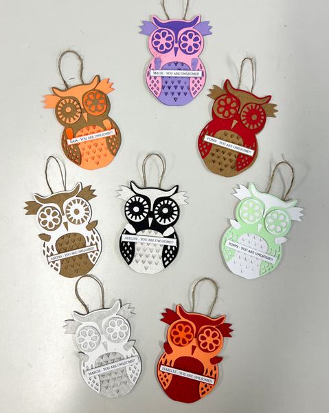 3D Owl Hanger