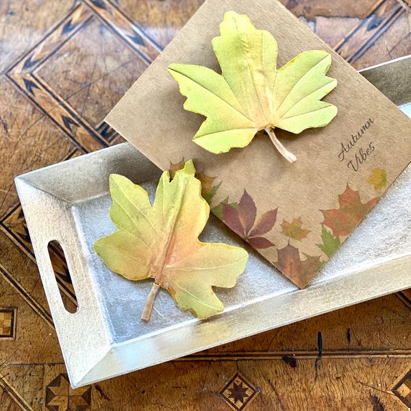 Field maple leaf brooch on gift card