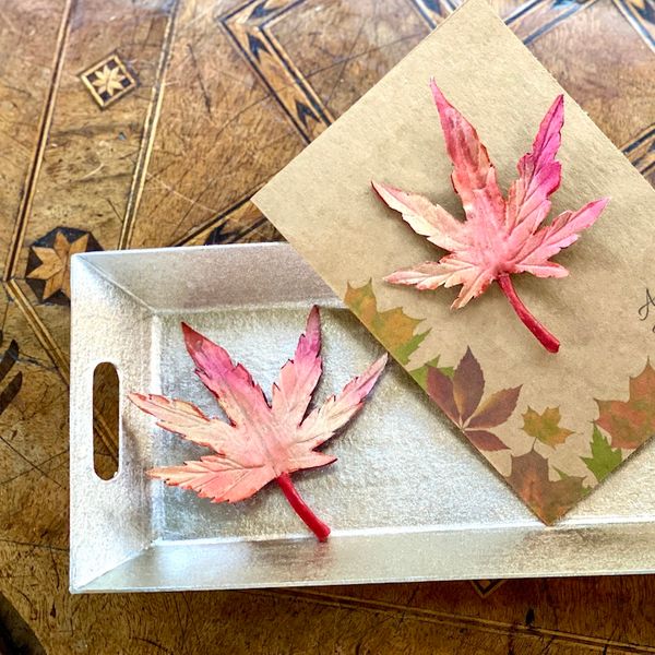 Japanese maple leaf brooch on gift card