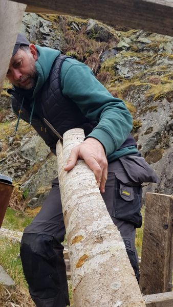 Cleaving an ash log