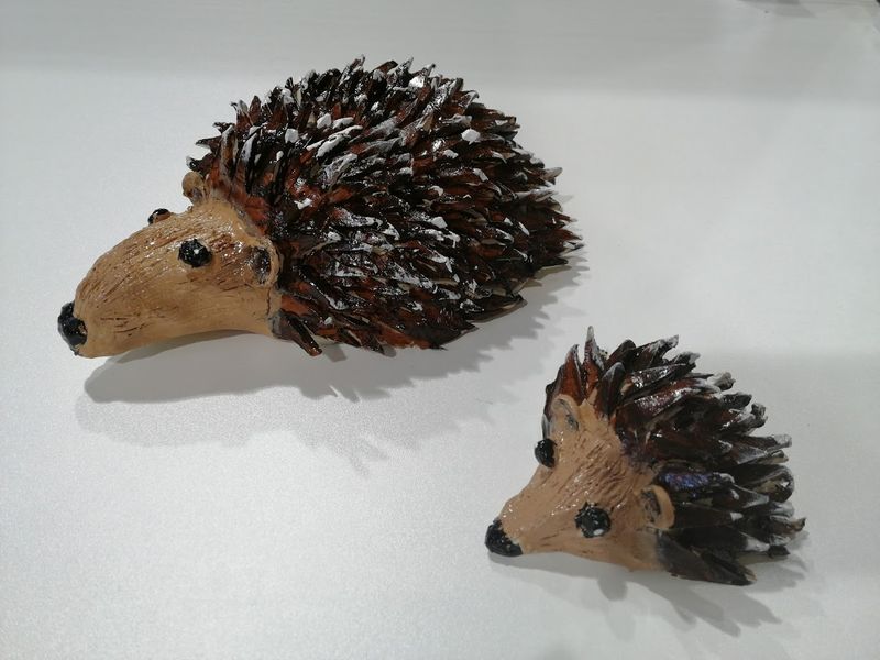 Students hedgehogs