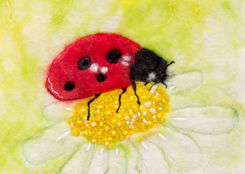 'Ladybird'