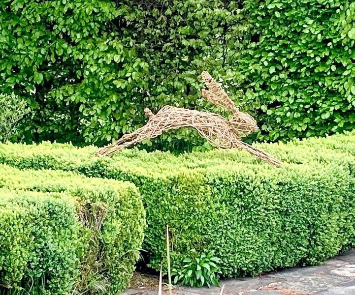 Willow Hare Leaping Hare Box Hedge