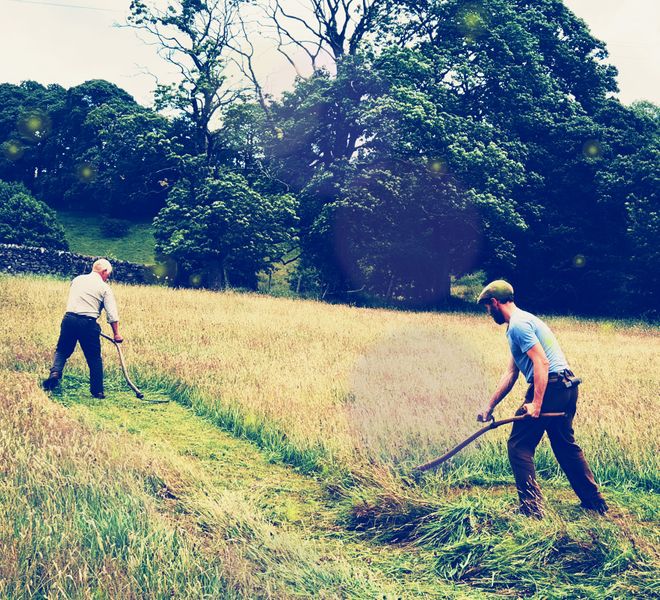 The course will cover the correct use of the scythe. Mowing as a team, you will be given hints and tips to improve your technique.