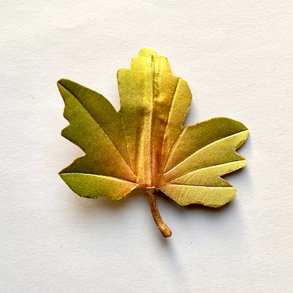 Hand-painted silk and leather leaf brooch - Field Maple 