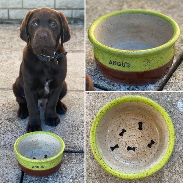 owner happy with the dog bowl he made