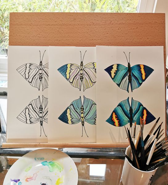 Butterfly painting stages