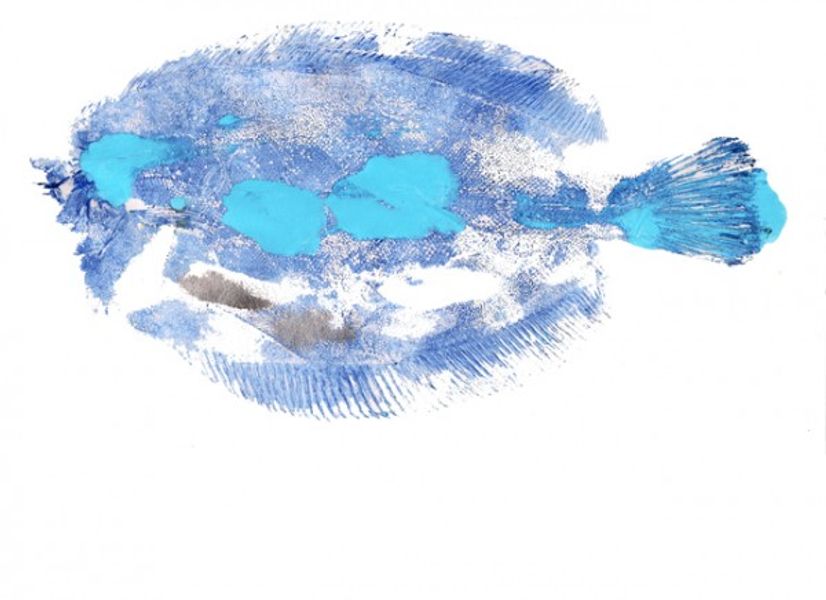 Gyotaku blue sole by Deb Withey