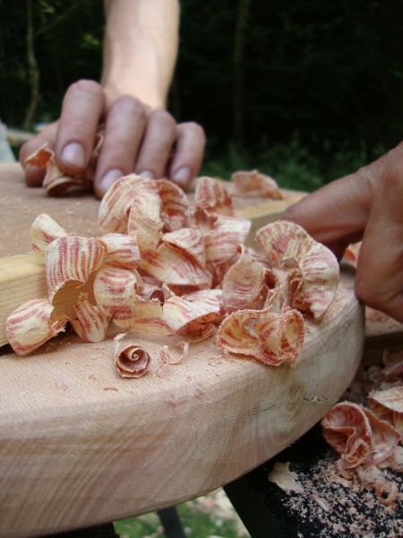 Plane wood shavings