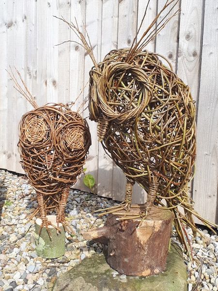 Willow Owls
