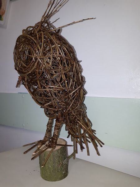 Willow owl