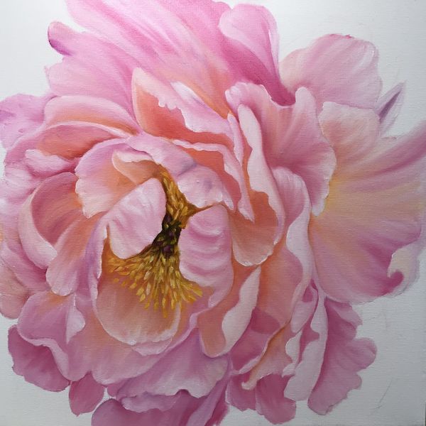 Large Peach & Pink Peony