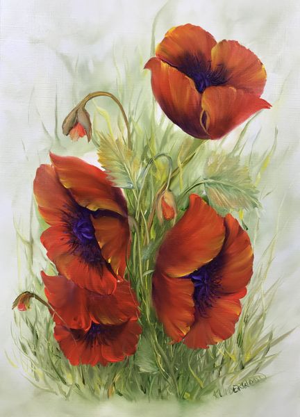 Wild Poppies