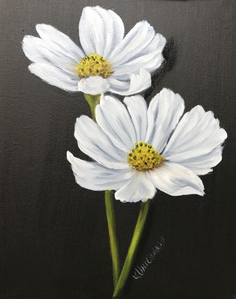 White Cosmos