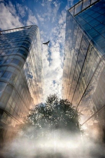 HowTo one-to-one tuition - Early morning sun illuminates the Thames mist at riverside More in Southwark - Richard Piper