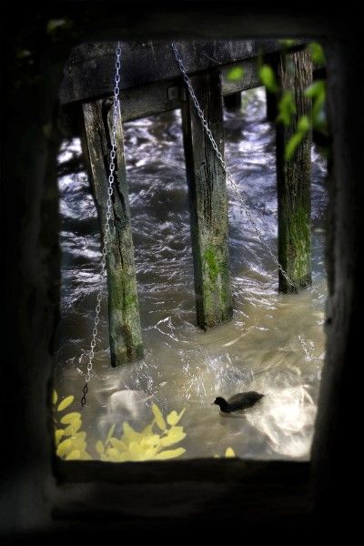 Photography workshop London - Manual exposure and shooting in RAW nails this timeless Thames side scene - Richard Piper