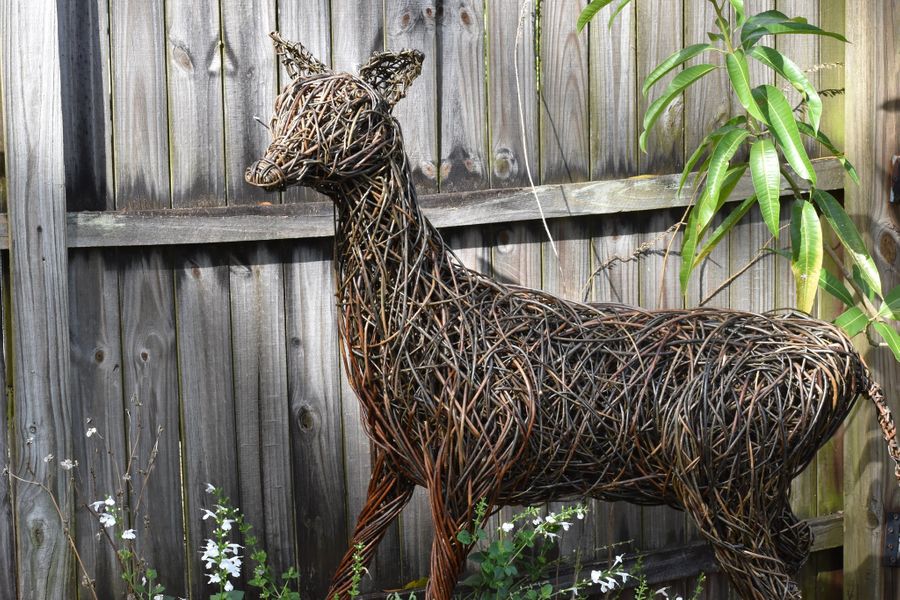 "Sara Holmes is an excellent instructor whose sculpting style creates a solid structure as opposed to a hollow...I highly recommend the Willowtwisters Online School of Willow Sculpture for anyone interested in figurative weaving with willow." (Marcia Mellens, Florida - Online student)