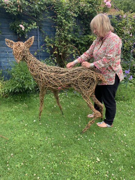 "I am delighted with the willow deer course I recently purchased. The instructions and attention to detail regarding the legs ears and tail are excellent.” (A. Woodruff – Online student) 