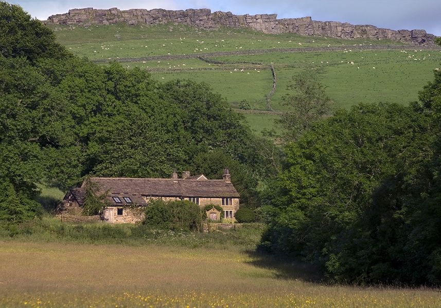 Nether Carr Farm & Sculpture Studio