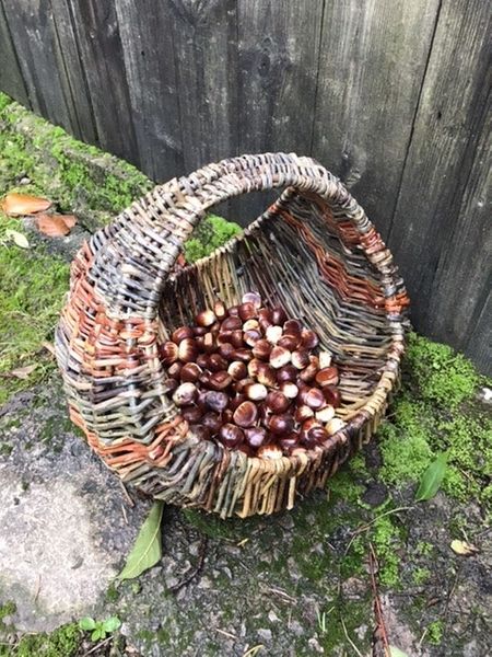 Circular frame basket in coloured willows