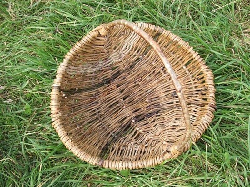 Willow and ivy frame basket