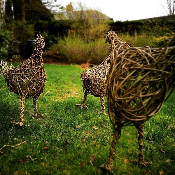 Willow Chickens at Creative with Nature Todmorden West Yorkshire