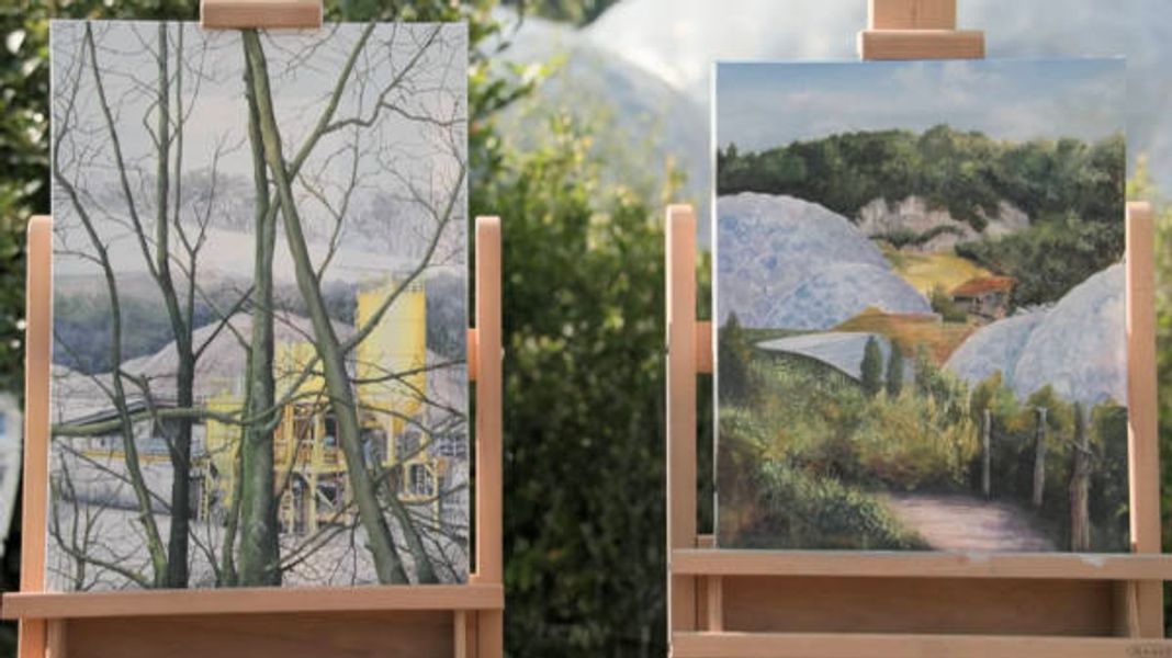Sky Arts Landscape Artist of the Year 2022, Denise's paintings at the Eden Project - Episode 1 Series 7
