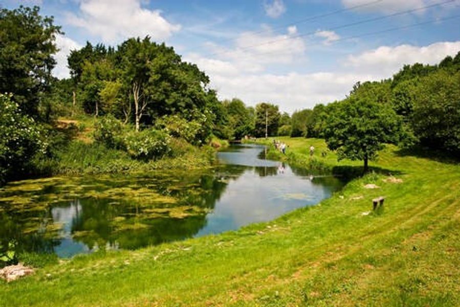 Extend your stay and try a spot of fishing at Meon Springs.