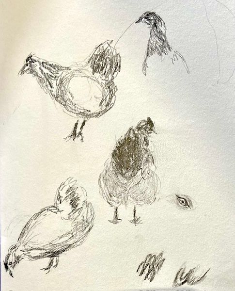 Student sketches at Cowshed Creative