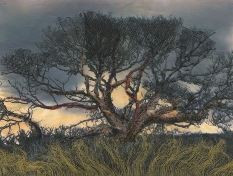 Purbeck tree- Imogen Bittner