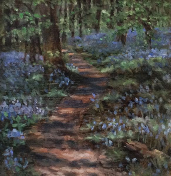 Bluebell Woods  by Lee Wright