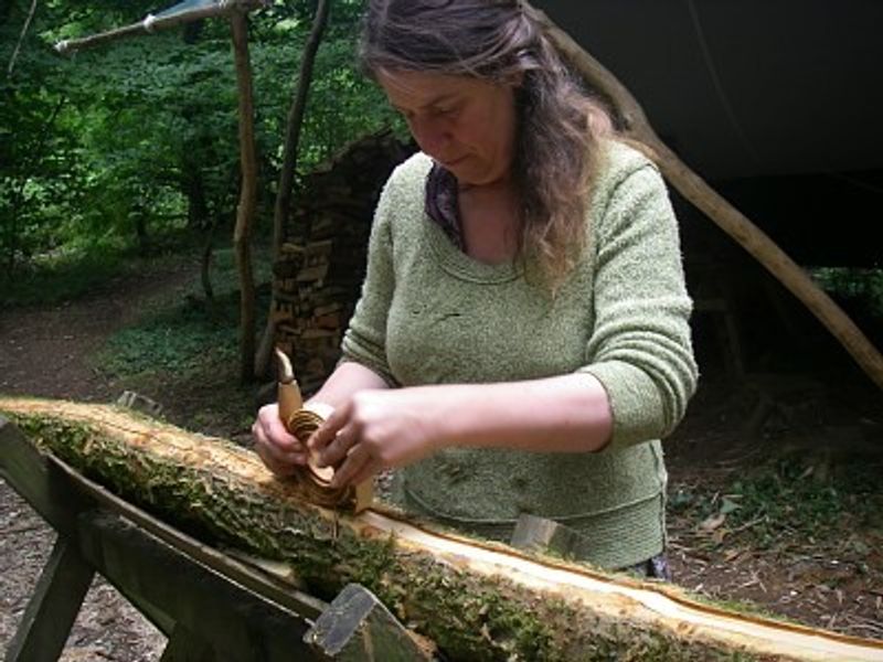 Stripping Elm bark for a stool seat