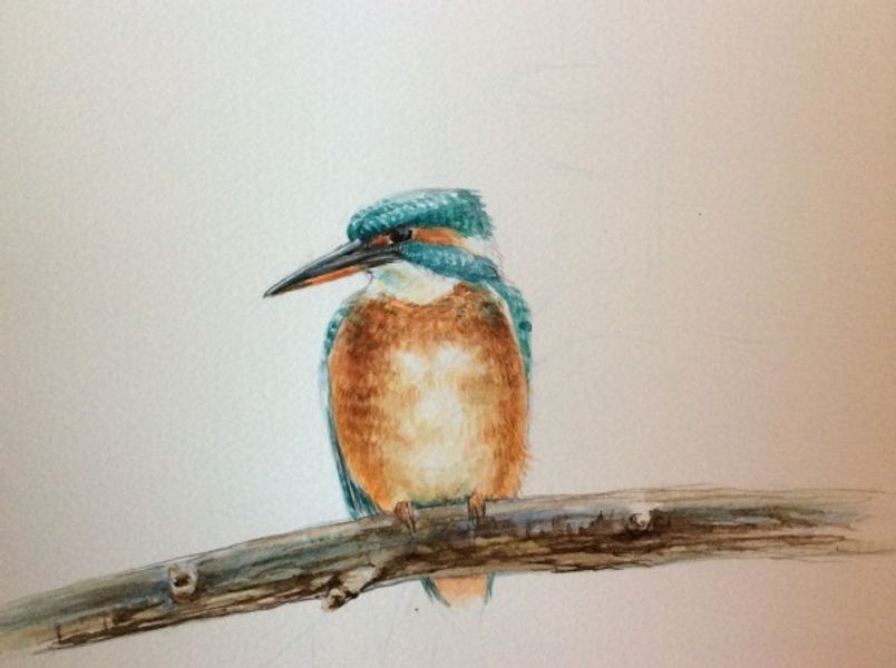 Martin Mere the Kingfisher