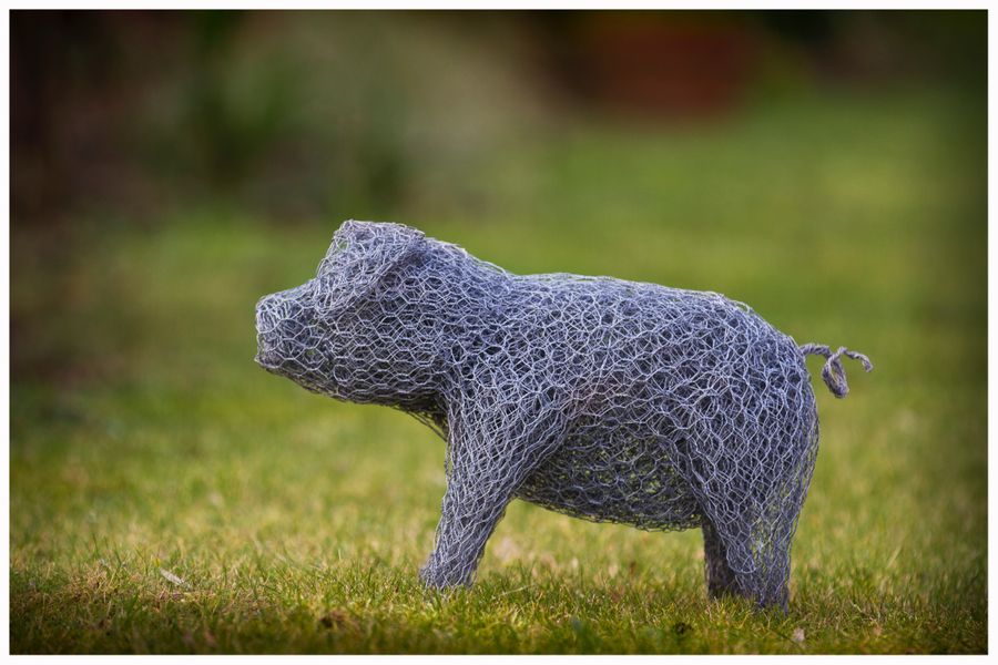 Wire pig sculpture