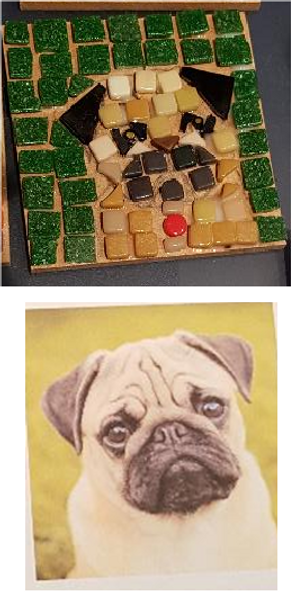 Interpretation of this pug image