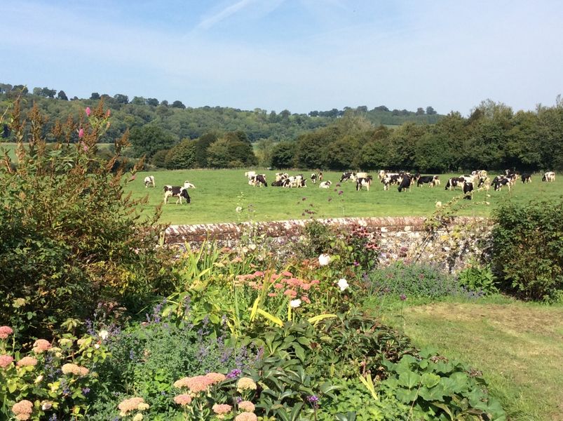 Views on the farm.